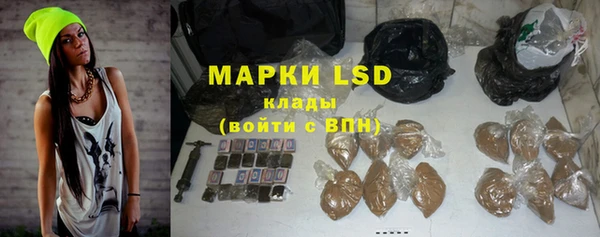 стафф Богданович
