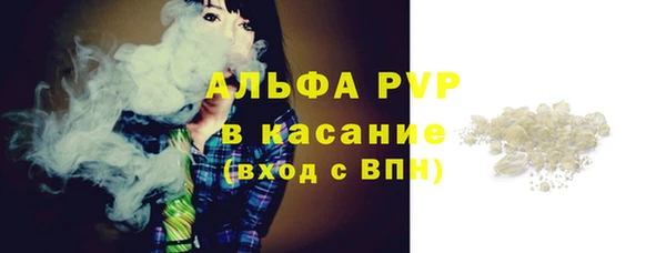 мяу мяу мука Белокуриха