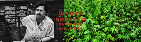 мяу мяу мука Белокуриха