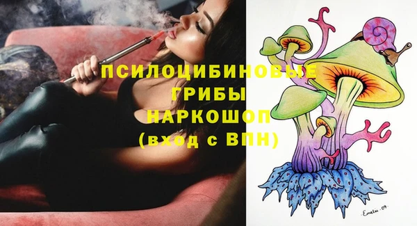 PSILOCYBIN Белоозёрский