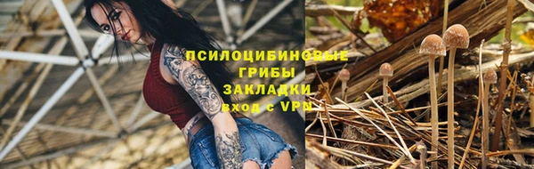 мяу мяу мука Белокуриха