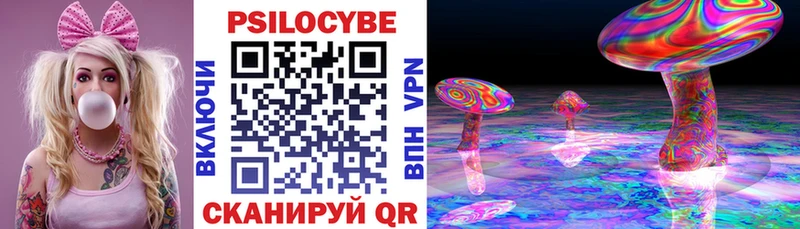 Псилоцибиновые грибы Cubensis  Кораблино 